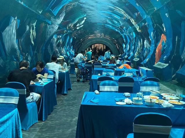 商业综合体为什么爱建海洋馆？案例拆解与引流逻辑