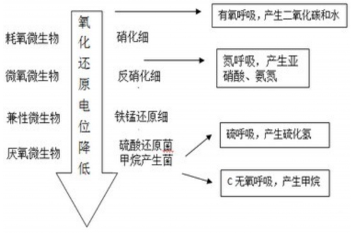 氧化还原电位(ORP)在养殖池塘水质监测中重要作用