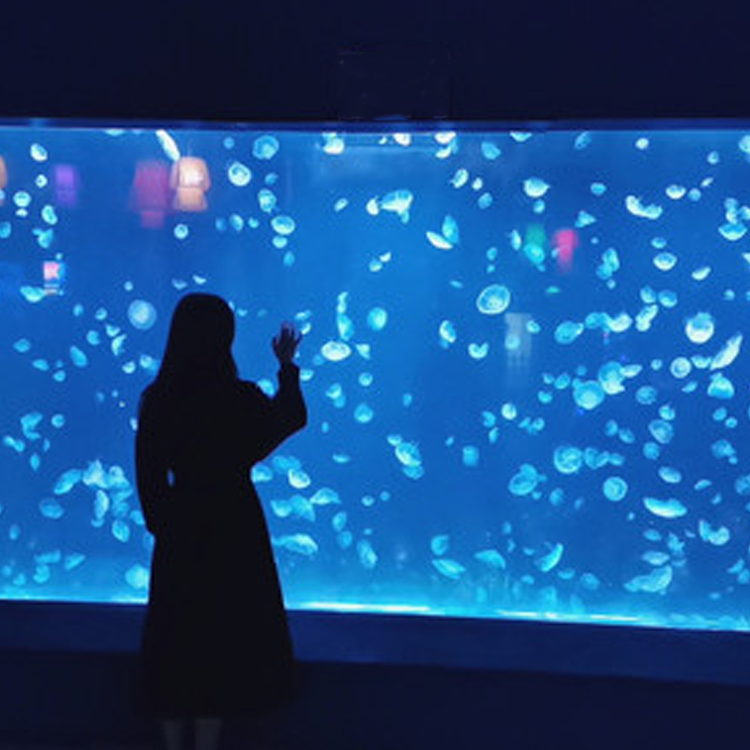 海洋馆水母鱼缸设计制作