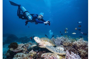 海洋馆海底世界设计欣赏